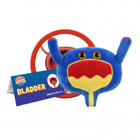 Giantmicrobes - Bladder