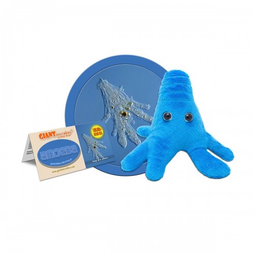 brain eating amoeba plush