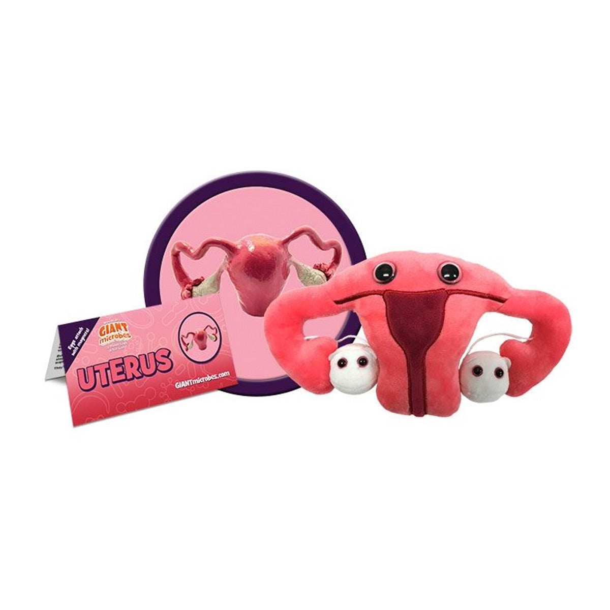 peluche uterus