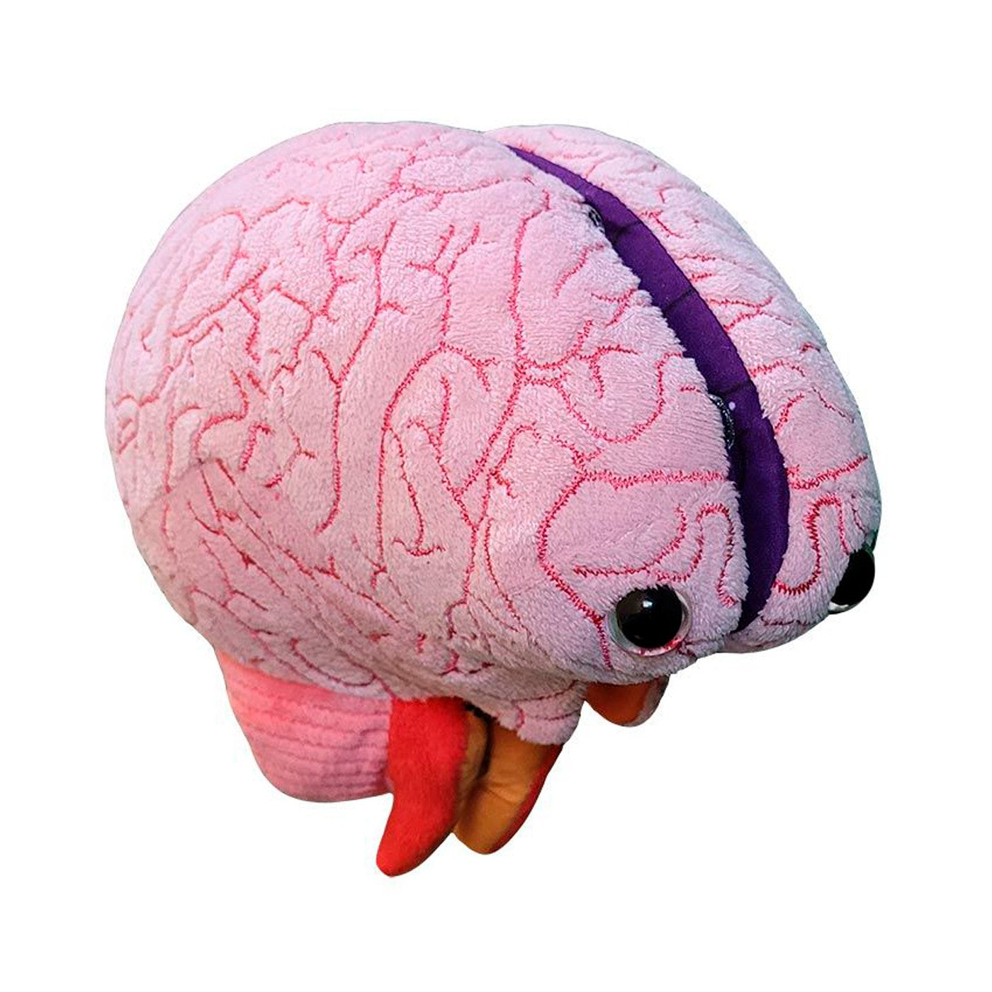 peluche educativo cerebro