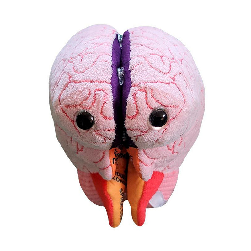 Peluche Cerebro Educativo GIANTmicrobes-zoom-