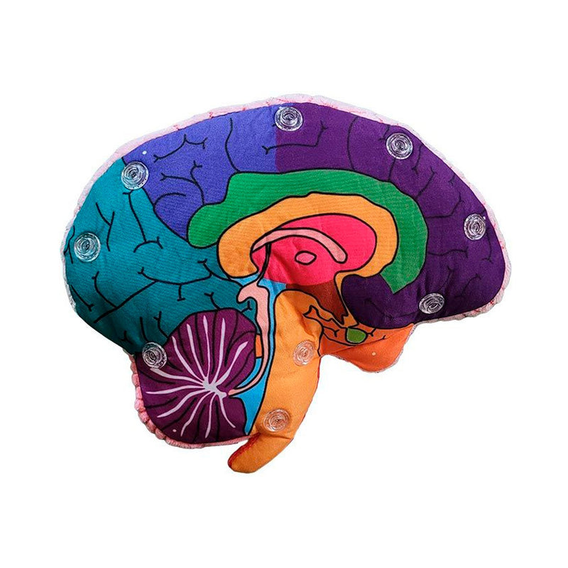 Peluche Cerebro Educativo GIANTmicrobes-zoom-