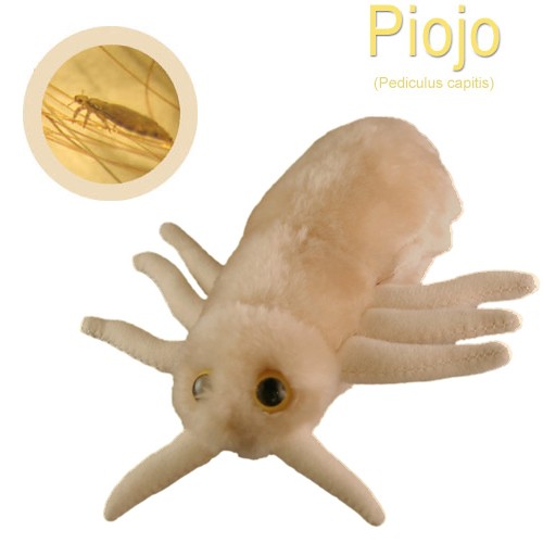 GiantMicrobes (peluche) - Pediculus Capitis (piojo)-zoom-