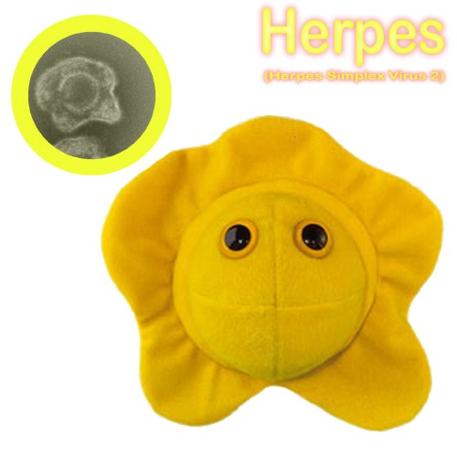GiantMicrobes (peluche) - Herpes Simplex (herpes)-zoom-