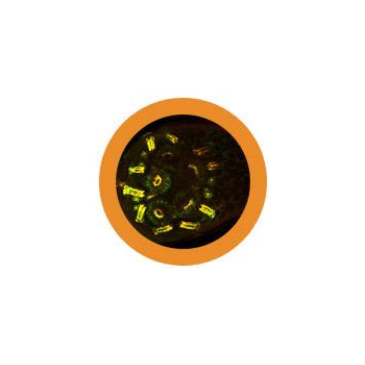 Llavero Giantmicrobe - Anticuerpo-3