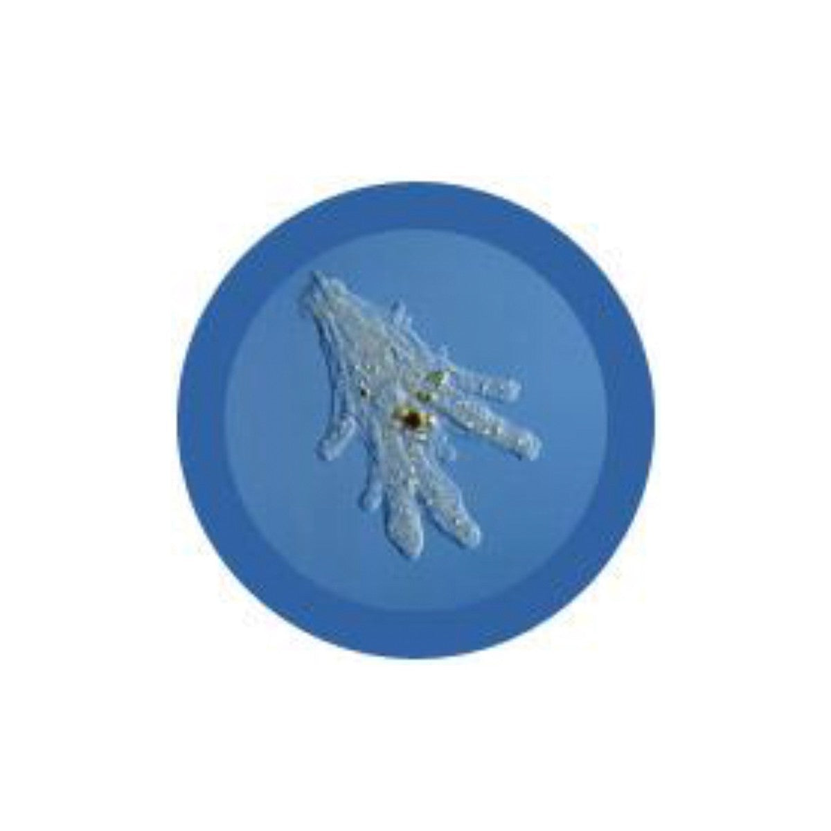 GiantMicrobes (peluche) - Amoeba Proteus (Ameba)-zoom-3