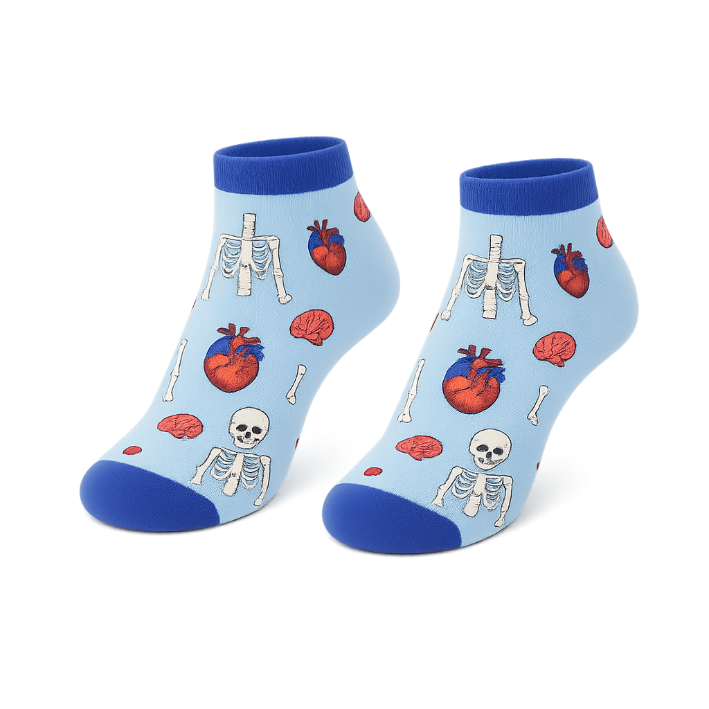 Calcetines Tobilleros Estampado – Anatomía