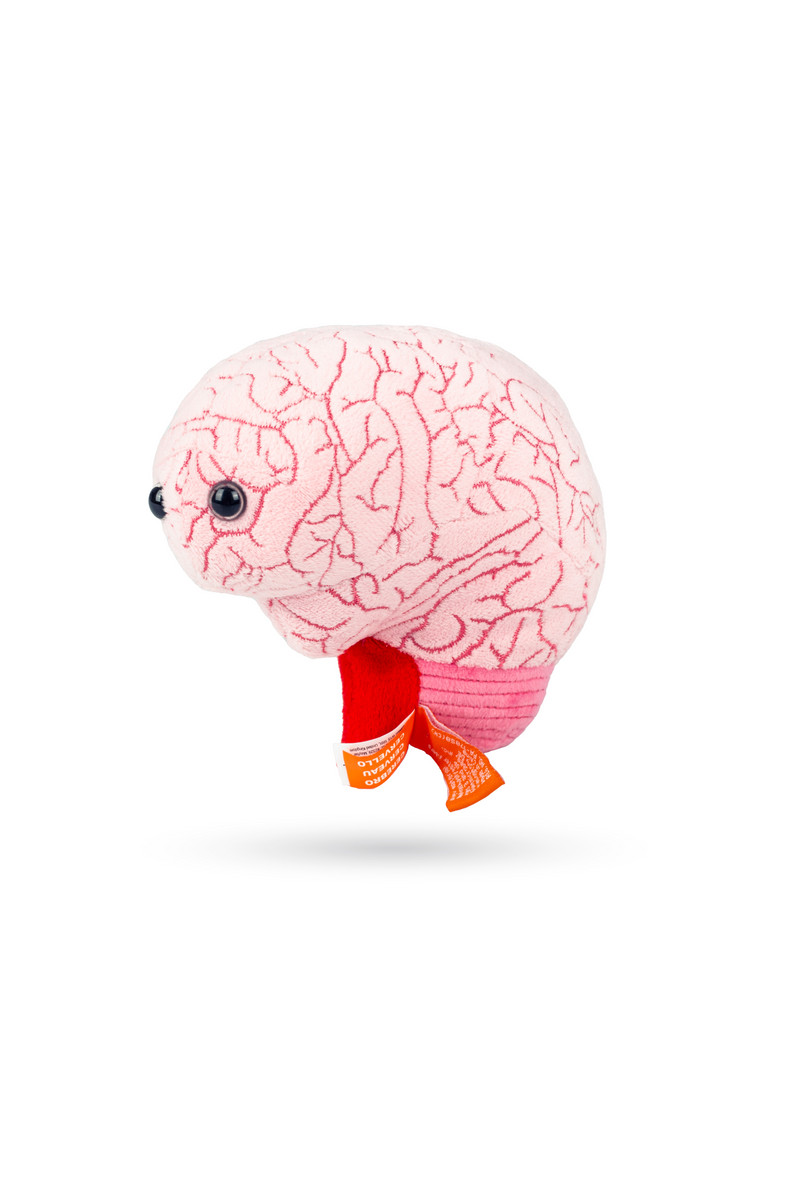 Giantmicrobes (peluche) - Cerebro-zoom-