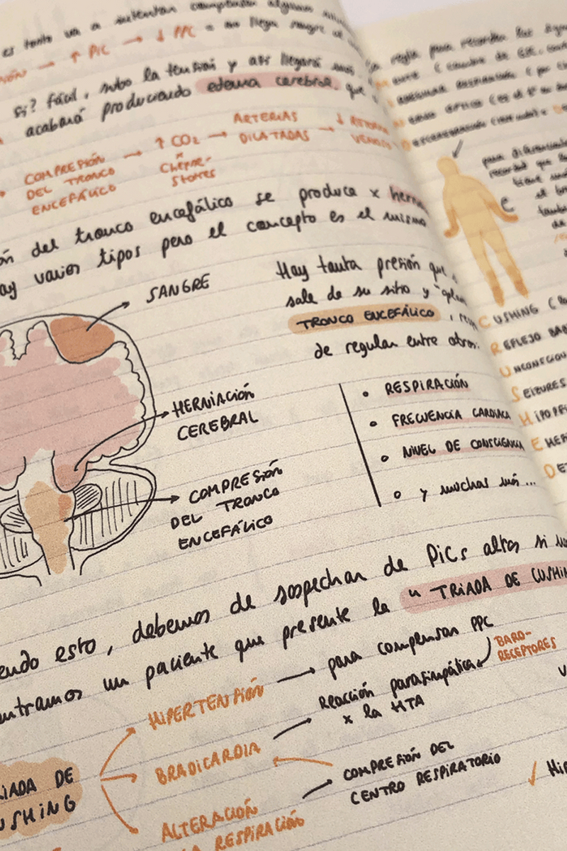 Libro: Guía de supervivencia en UCI-zoom-