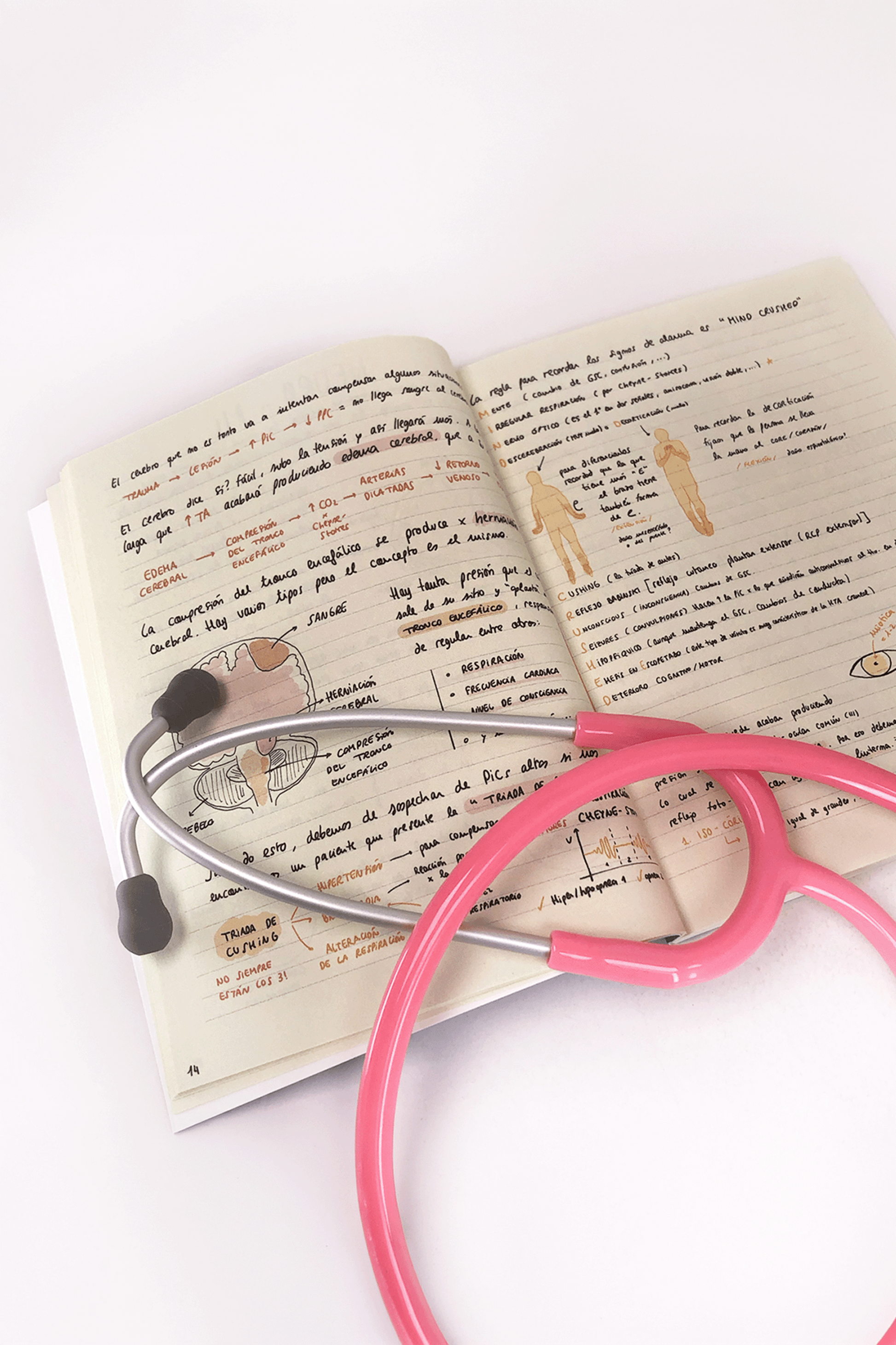 Libro: Guía de supervivencia en UCI-4