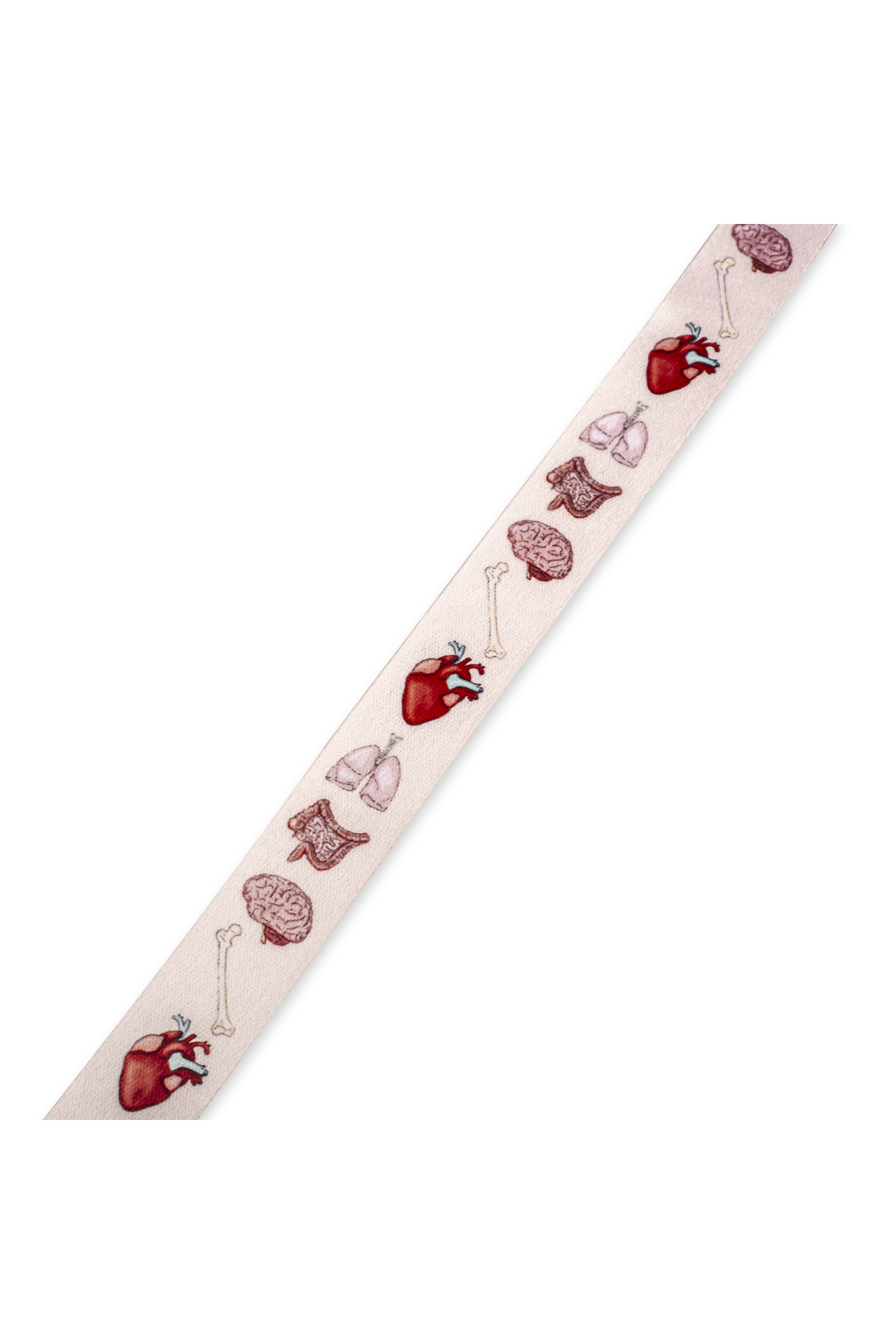 Lanyard multifunción con retráctil - Organs Collection-zoom-2