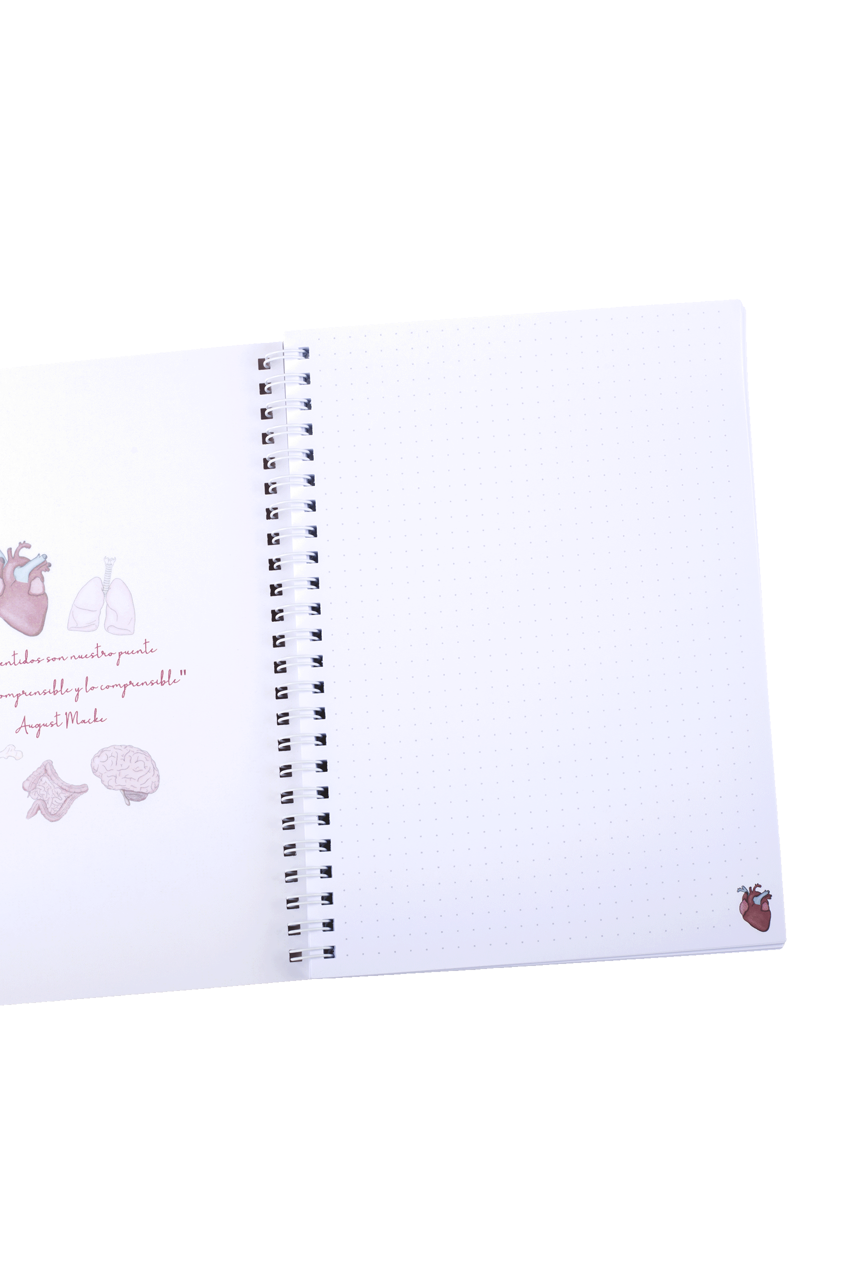 Libreta A5 - Órganos-5