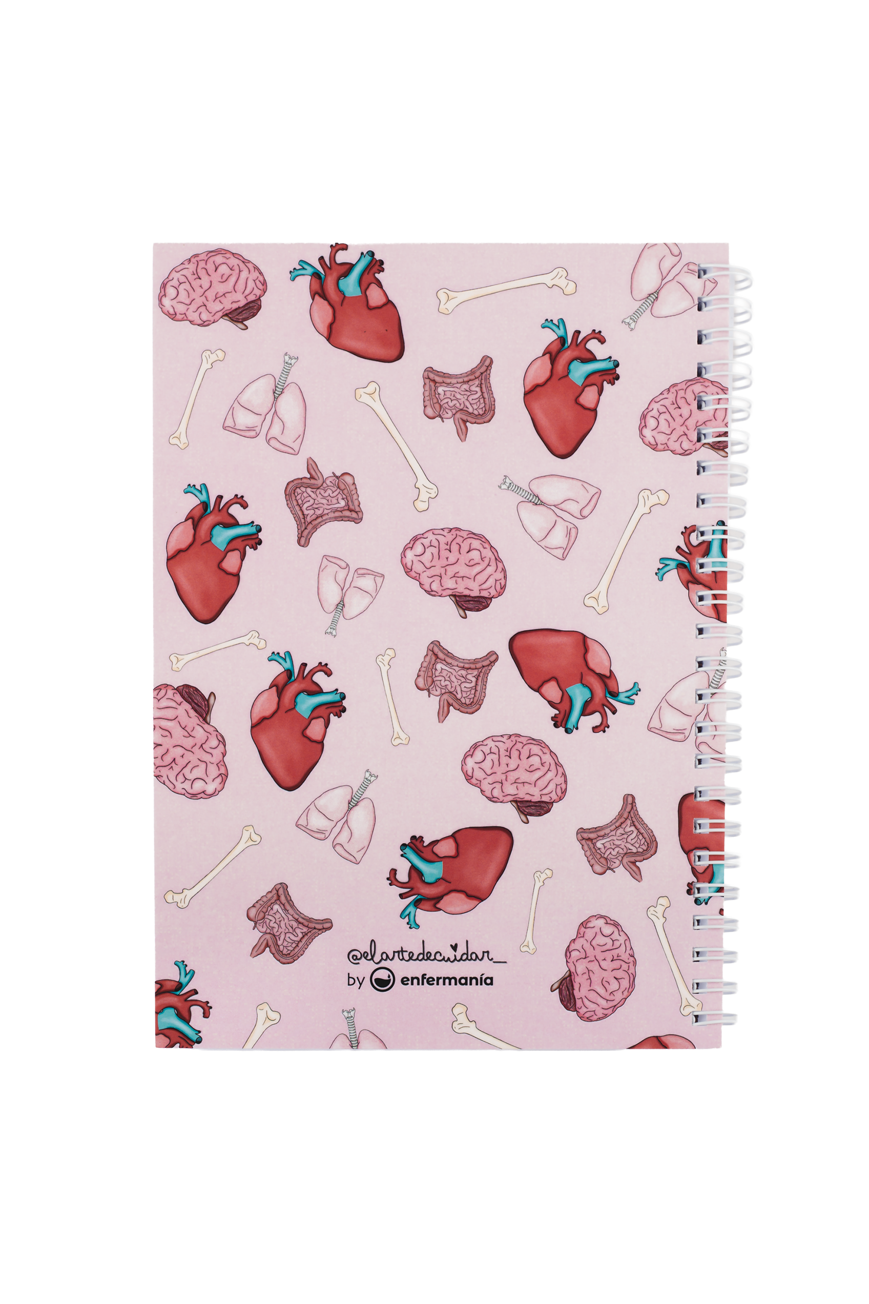Libreta A5 - Órganos-zoom-6