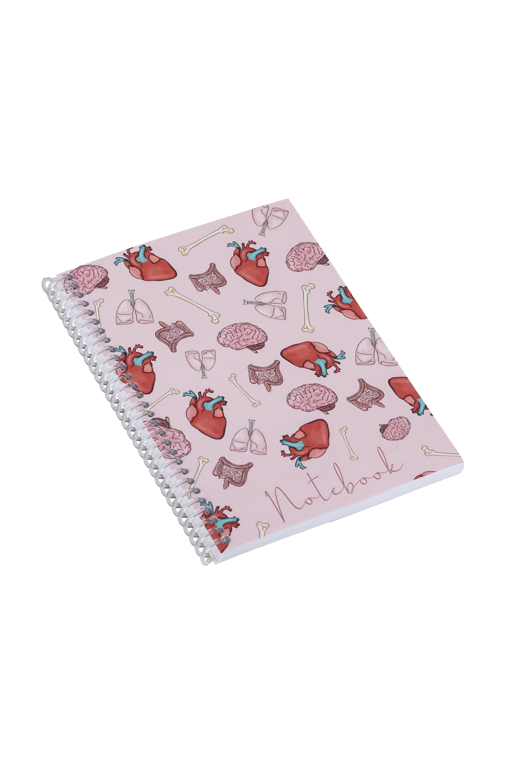 Libreta A6 enfermería - Órganos-4