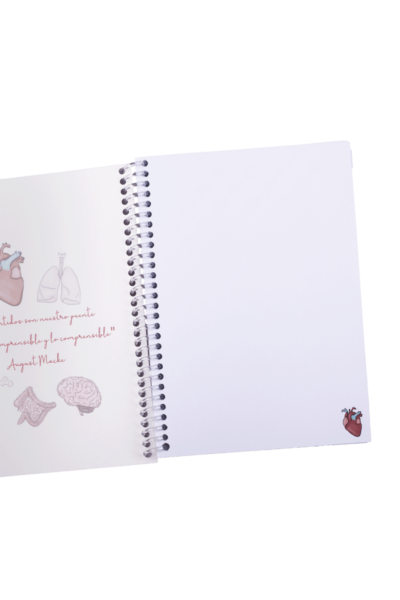 Libreta A6 enfermería - Órganos-zoom-