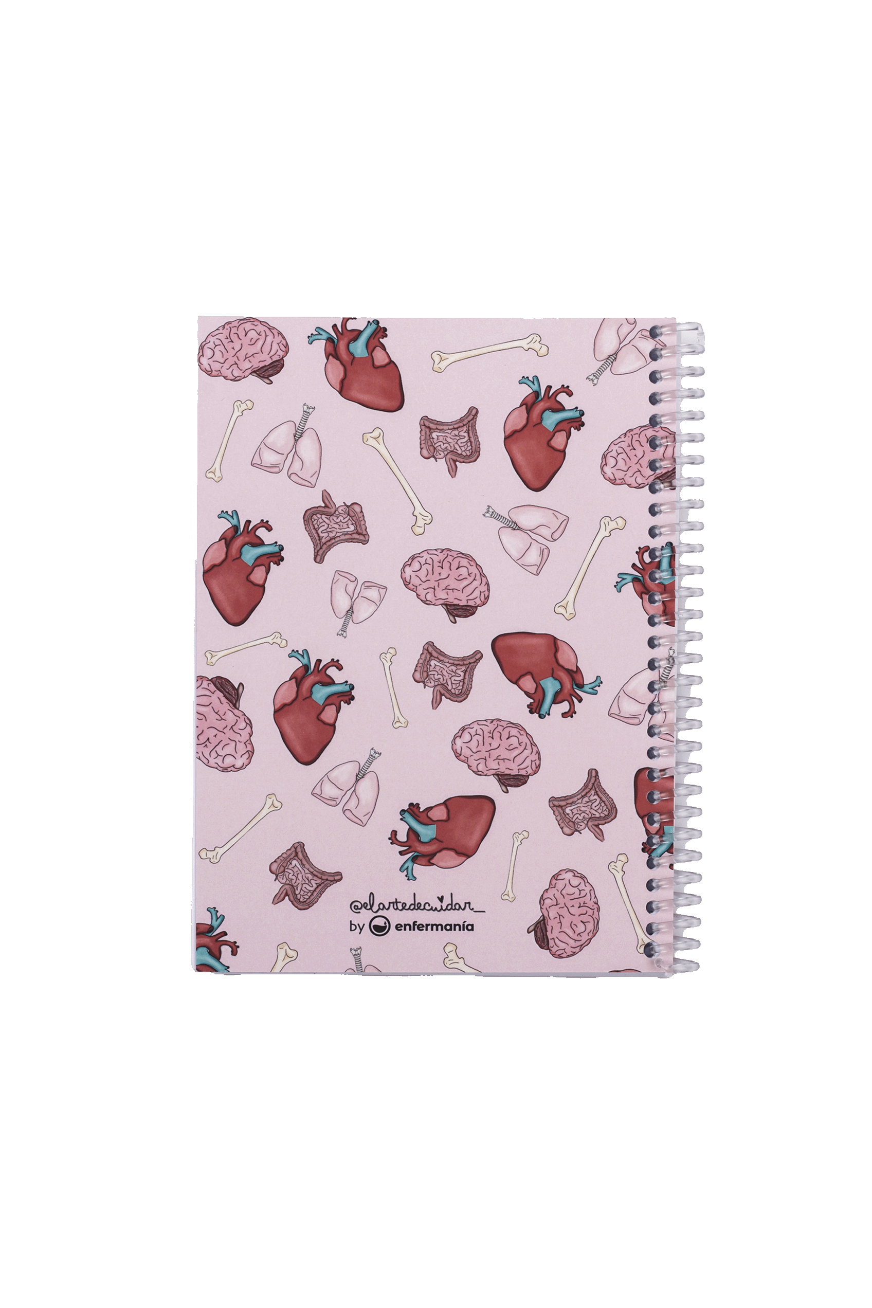Libreta A6 enfermería - Órganos-6
